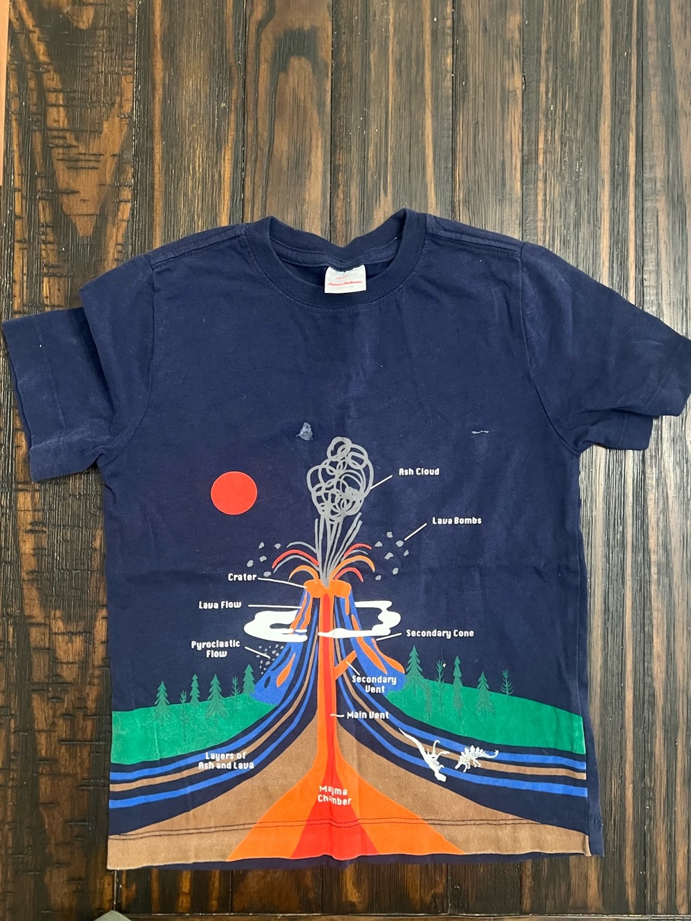 Hanna Anderson size 110 Volcano Graphic Tee